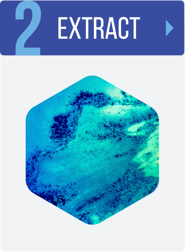 Exsolve Process Step 2